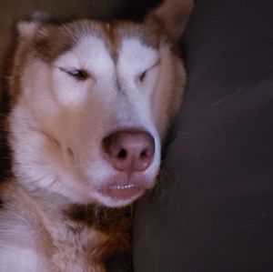 Meet your Posher, Terra